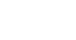 Logo INSITU